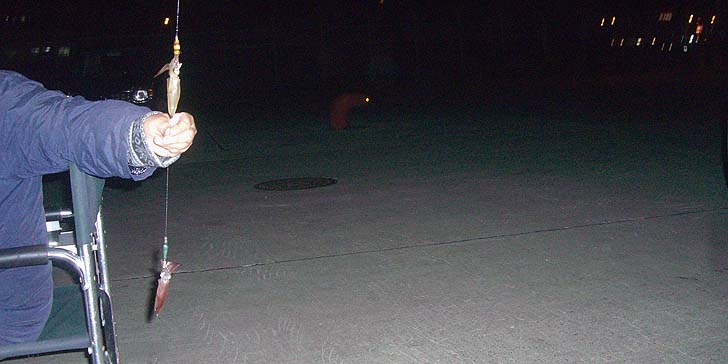191007_1748mame.jpg(51288 byte)