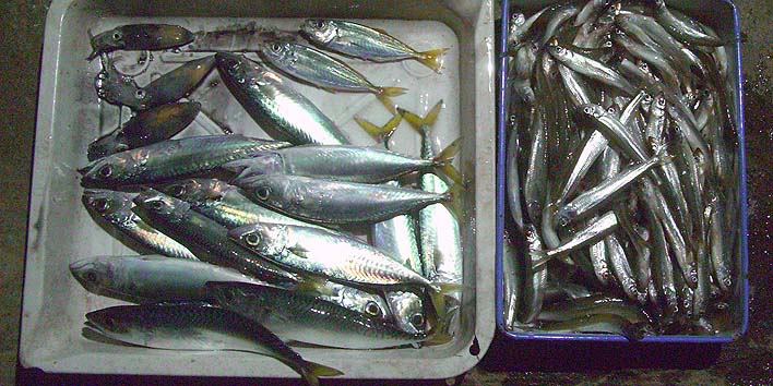 191023.jpg(101891 byte)