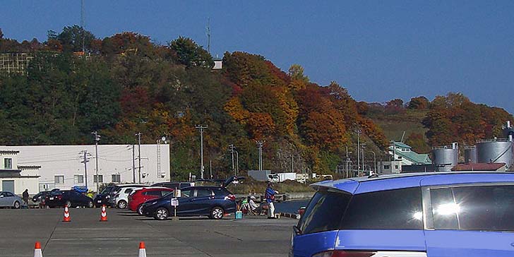 191023_1158kouyou.jpg(72882 byte)