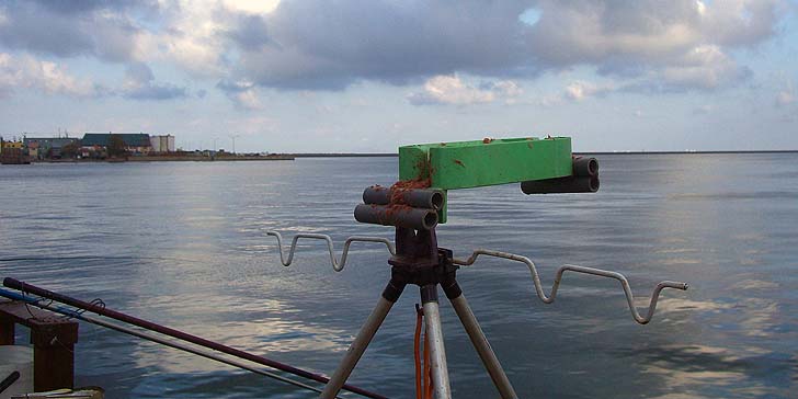 191023_1455amitukeki.jpg(51620 byte)