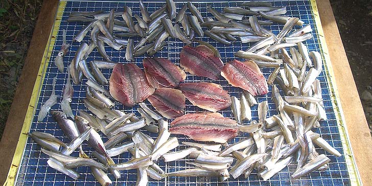 191023_r_itiyabosi.jpg(135535 byte)