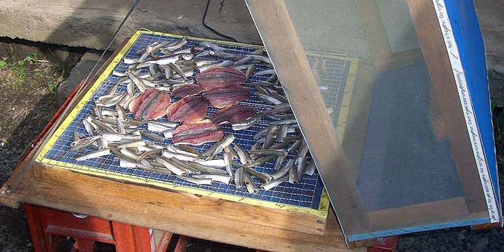 191023_r_kansouki.jpg(104418 byte)