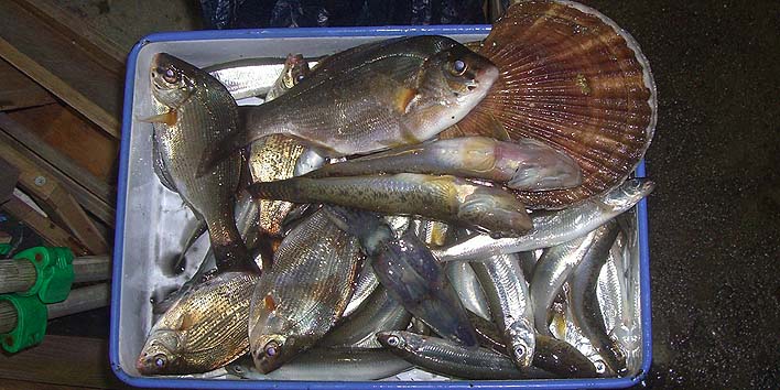 191111.jpg(93354 byte)