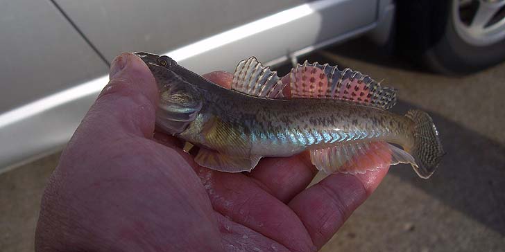 191111_1401haze.jpg(44279 byte)