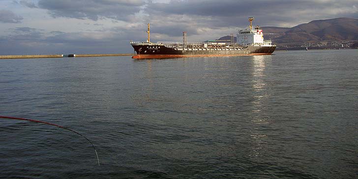 191111_1415kinyumaru.jpg(59003 byte)