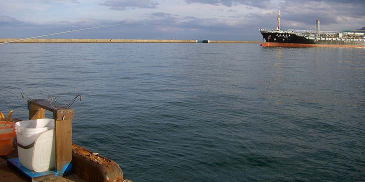 191111_1415kinyumaru2.jpg(60467 byte)