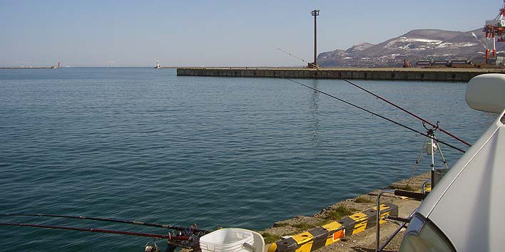 200331_1536migi.jpg(63585 byte)