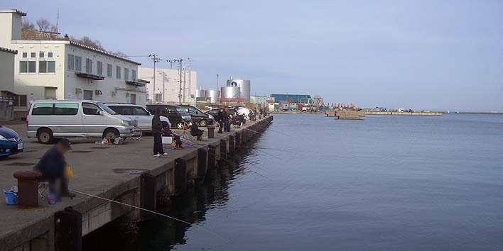 200331_1556hmura.jpg(48213 byte)