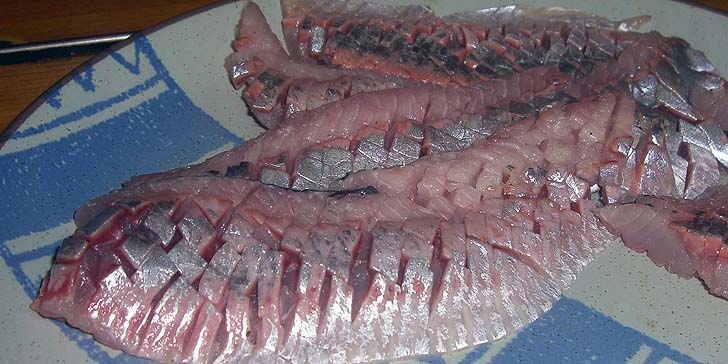 200331_r_nisin1.jpg(83622 byte)