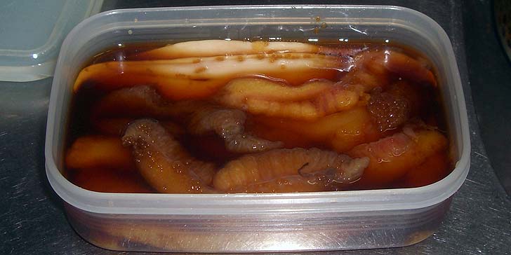 200331_r_nisin3.jpg(54947 byte)