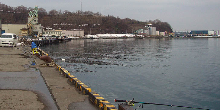 2003_1321hidari.jpg(76617 byte)