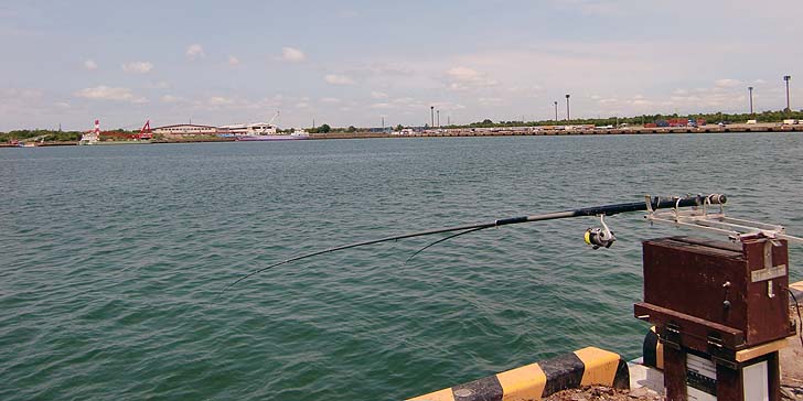 200623_1222_syakuriki.jpg(58599 byte)