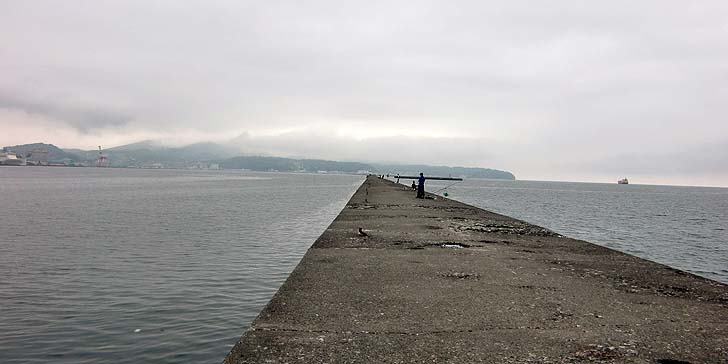 200722_1644sentan.jpg(46426 byte)