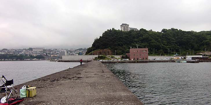 200722_1645kibu.jpg(61429 byte)