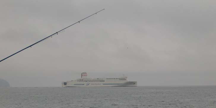 200722_1708ferry.jpg(22059 byte)