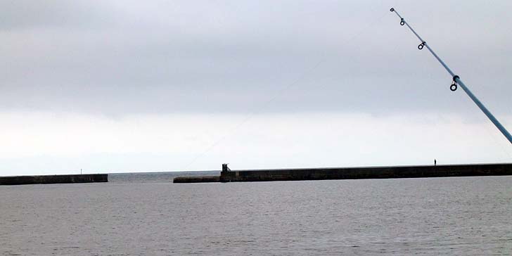 200817_1743minamibouha.jpg(30281 byte)