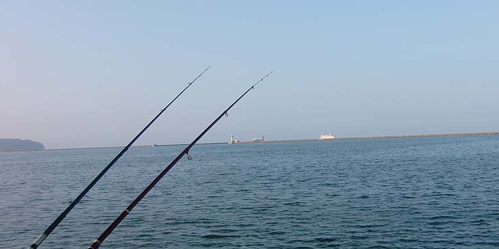 200827_1711ferry.jpg(42452 byte)
