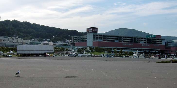 200930_1346wakatake2.jpg(43795 byte)