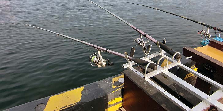 200930_1510syakuriki.jpg(62346 byte)