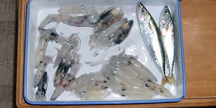 200930jpg.jpg(64726 byte)