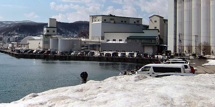 210323_1120kitahama.jpg(69385 byte)