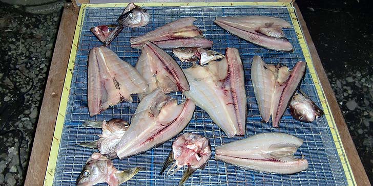 210323_r_hokke2.jpg(100347 byte)