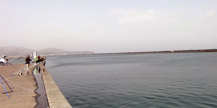 210330_1135wakatake.jpg(38854 byte)