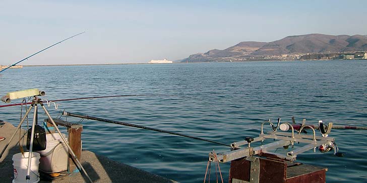 210423_1707ferry.jpg(57991 byte)