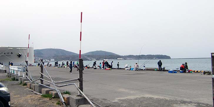 210429_1439hidari.jpg(46203 byte)