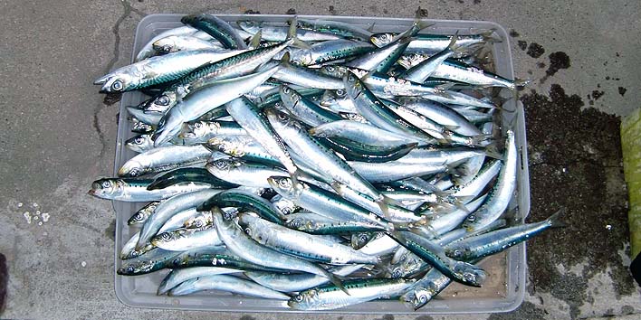 210629.jpg(92616 byte)