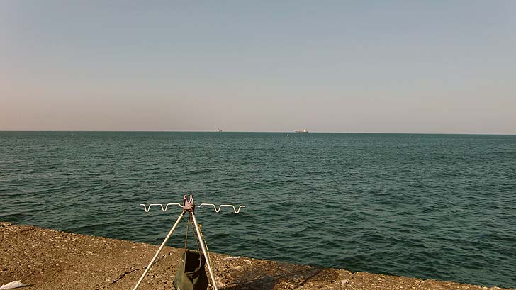 210726_1624isikariwan.jpg(60619 byte)