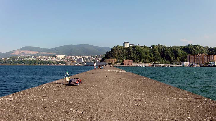 210726_1624kibu.jpg(79631 byte)