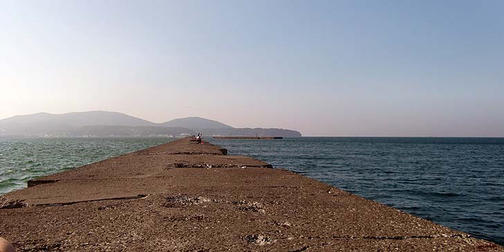 210726_1624saki.jpg(55331 byte)