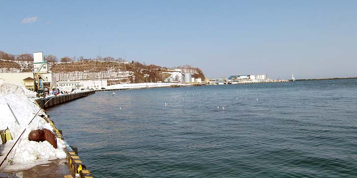 210305_1327hidari.jpg(53498 byte)