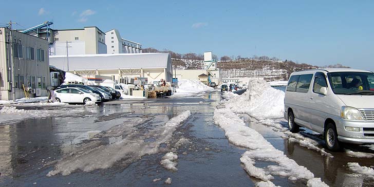210305_1327hidari2.jpg(66230 byte)