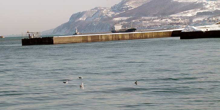 210305_1333ironai.jpg(53487 byte)