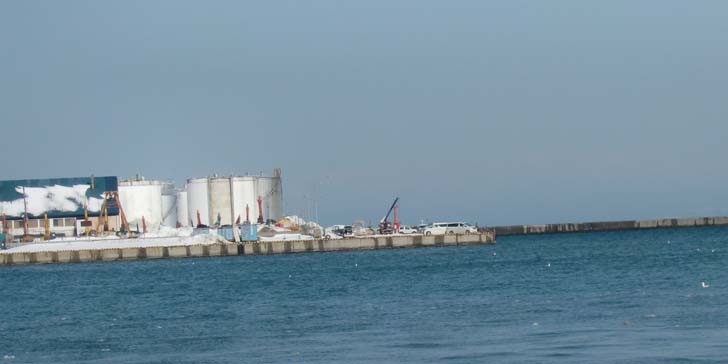 210305_1336umaya.jpg(31812 byte)
