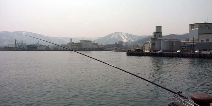 220411_1155nagasao.jpg(44633 byte)