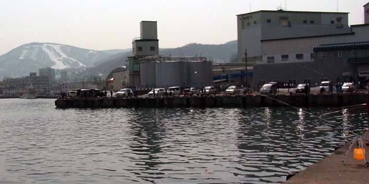 220411_1353kitahama.jpg(59467 byte)