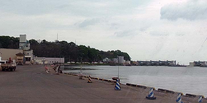220520_1152kitahama.jpg(48541 byte)