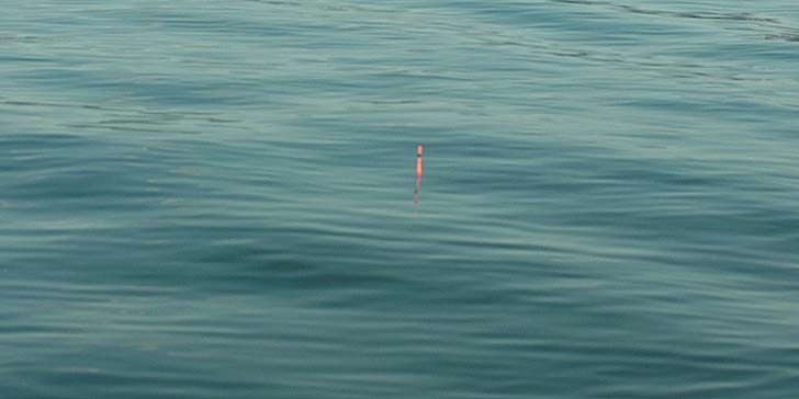 220520_1711uki.jpg(32355 byte)