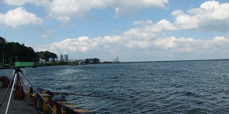 220625_1554umaya.jpg(50040 byte)