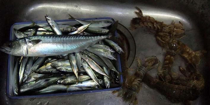 220727.jpg(57739 byte)