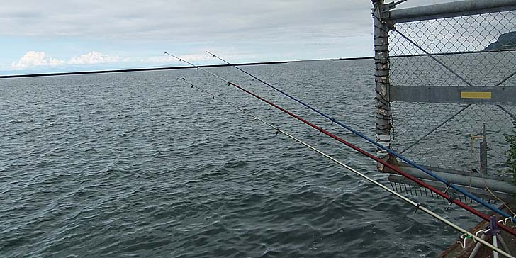 220727_1601nagesao.jpg(81006 byte)