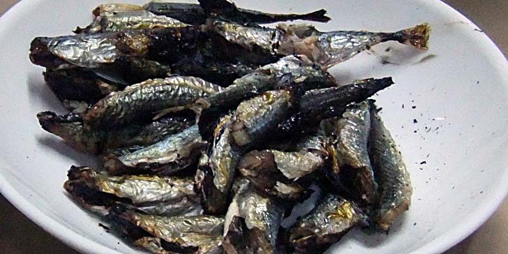 220727_r._zako.jpg(68081 byte)