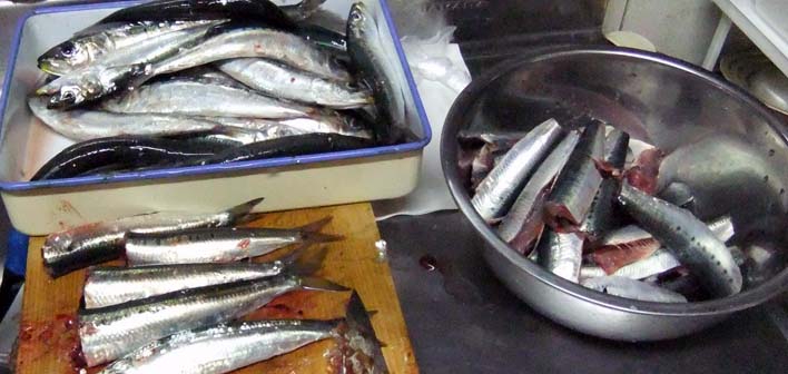 20220804_1.jpg(66703 byte)