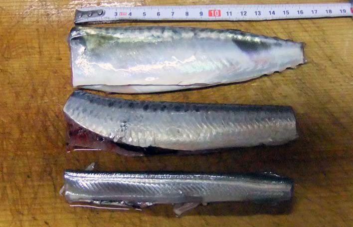 20220804_2.jpg(69658 byte)