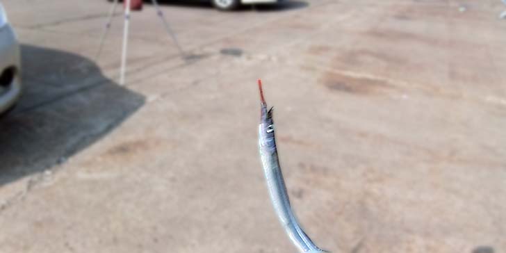 220804_1511sayori.jpg(25503 byte)