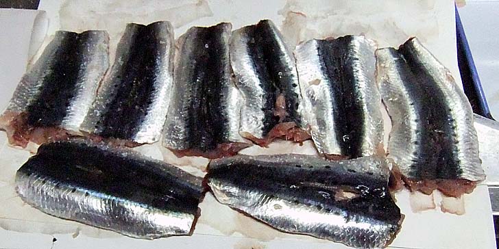 220804_r_oiru.jpg(78298 byte)