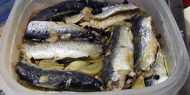 220819_r_oil.jpg(92850 byte)